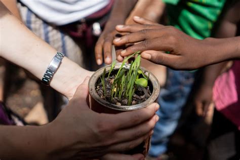 Connecting Children to Growing Food